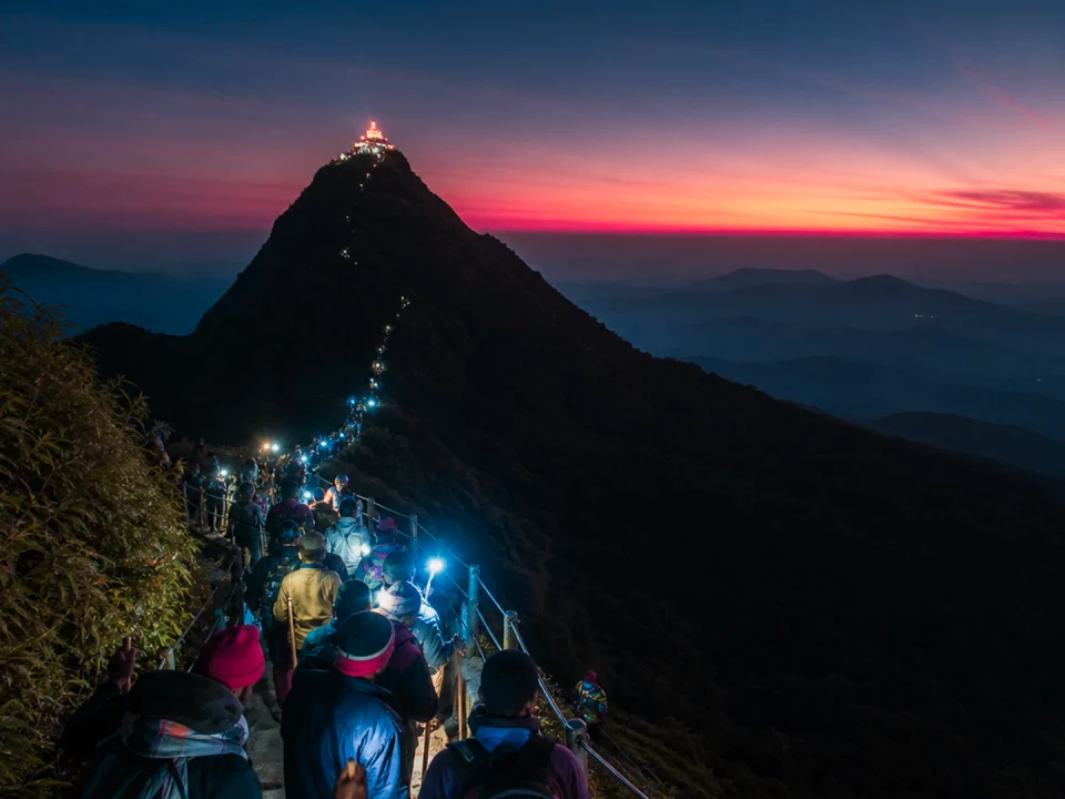 Sunrise & the Shadow Phenomenon