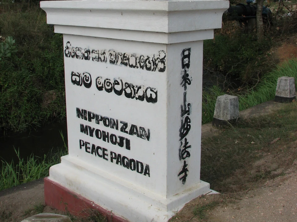 Arugam Bay & Coast Links