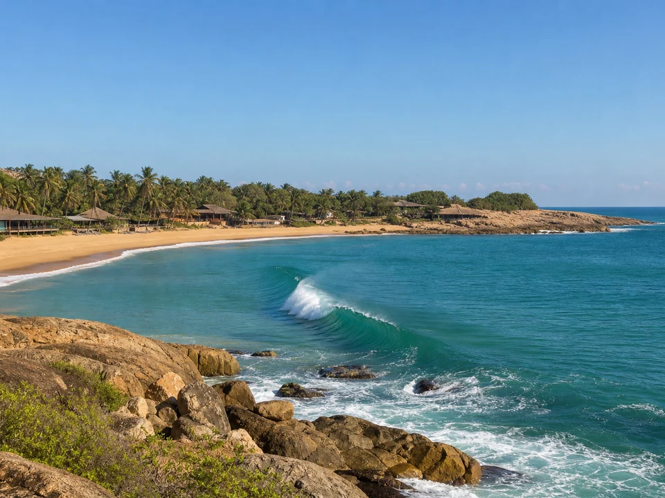Arugam Bay & Coast Links