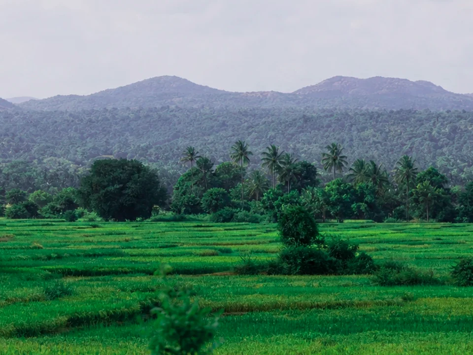 Gateway to Kumana & Arugam Bay