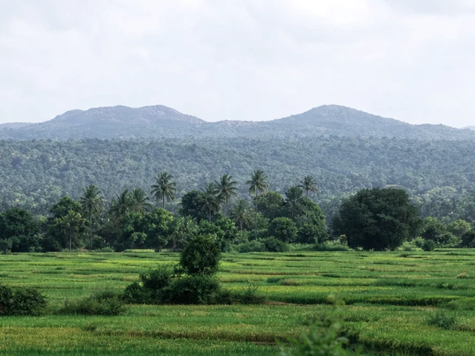 Planning Your Ampara Visit