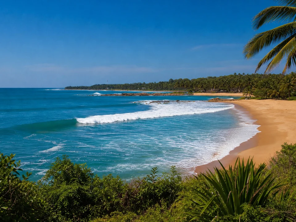 Arugam Bay