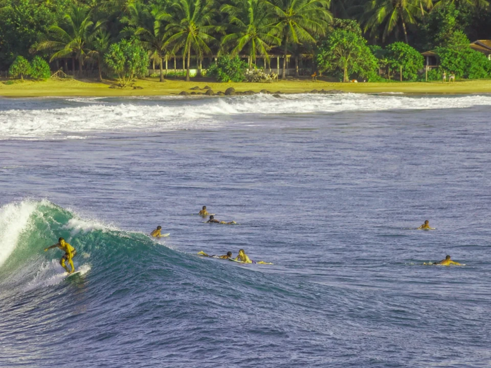 Planning Your Arugam Bay Visit