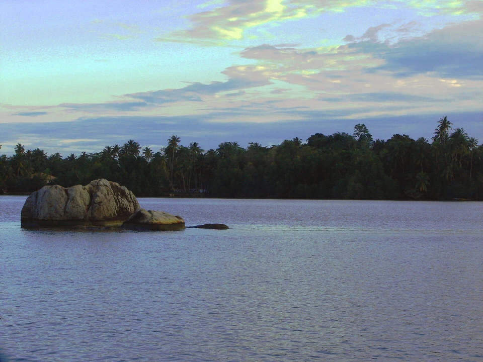 Madu River Boat Safari