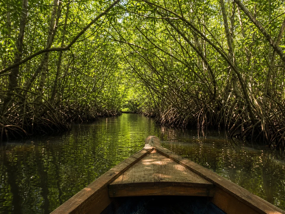 Madu River Boat Safari