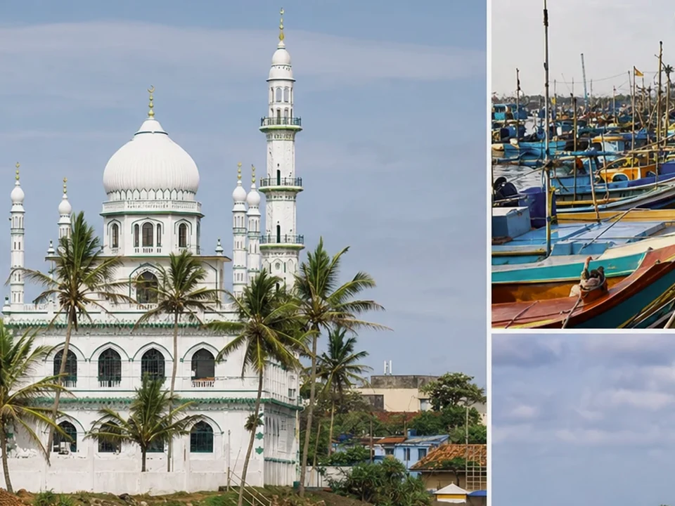 Harbour Heritage & Calm Coast