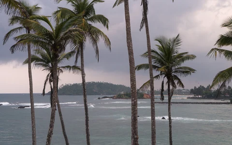 Coconut Tree Hill Mirissa