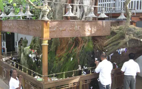Colombo City Discovery Tour