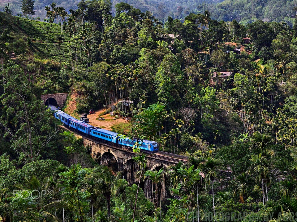 Nine Arch Bridge & the Scenic Train