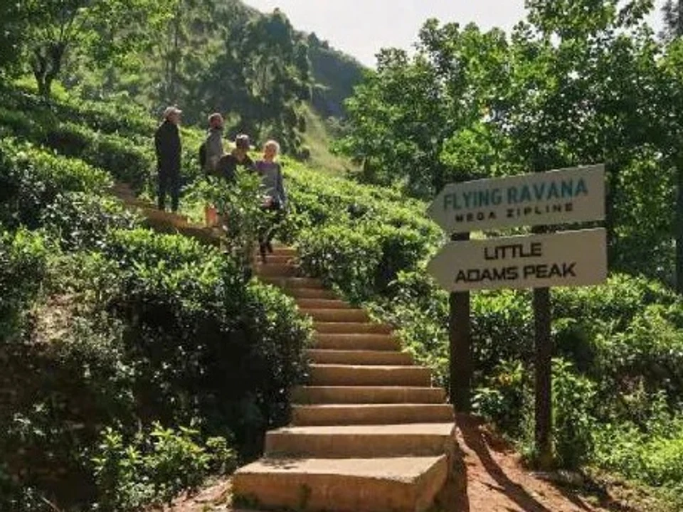 Little Adam's Peak & Ella Rock