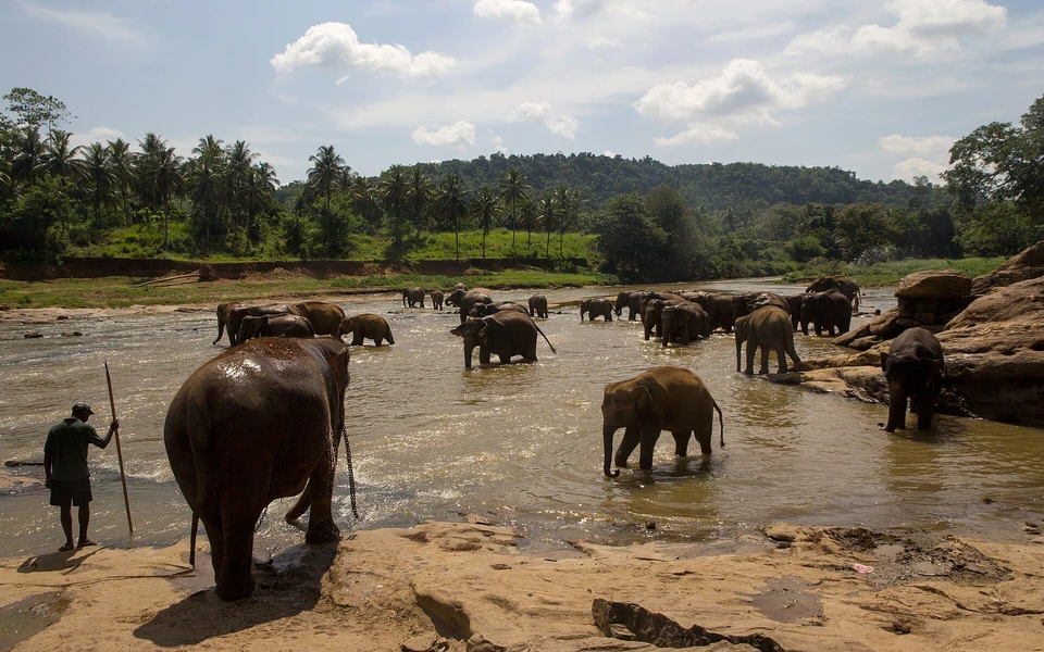 Family Adventure 6-Day Tour