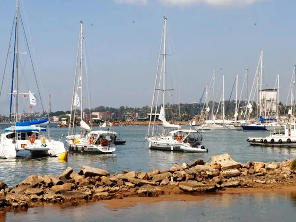 Working Harbour & Fish Market
