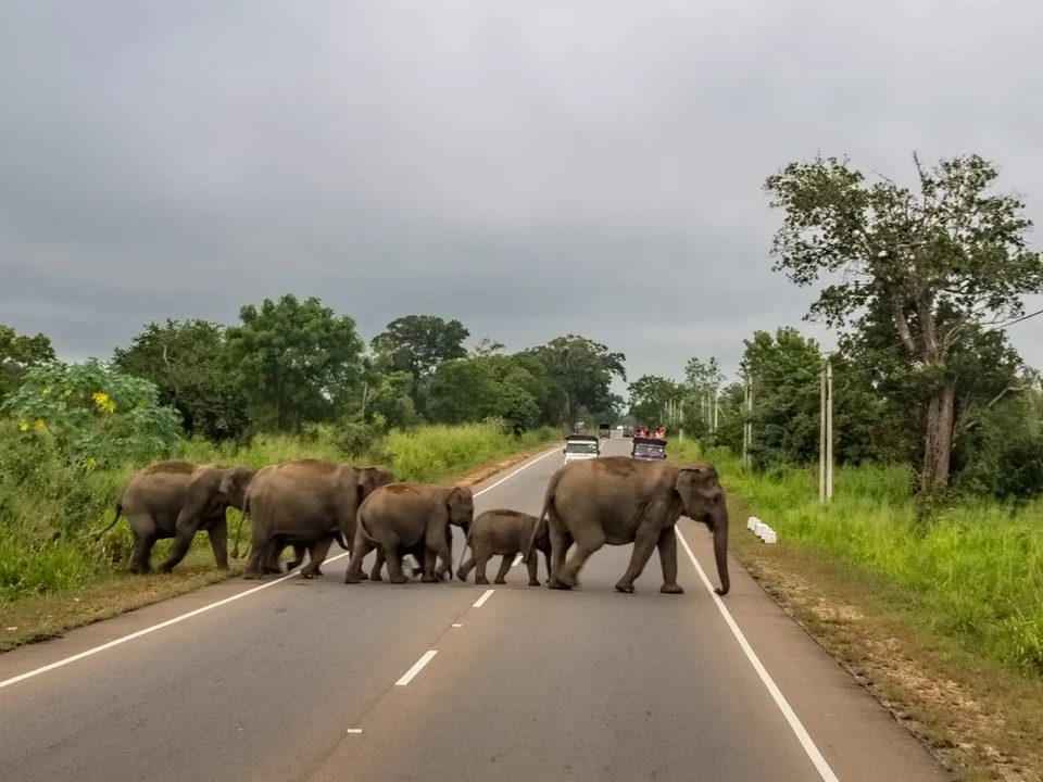 Day Trips to Sigiriya & Polonnaruwa