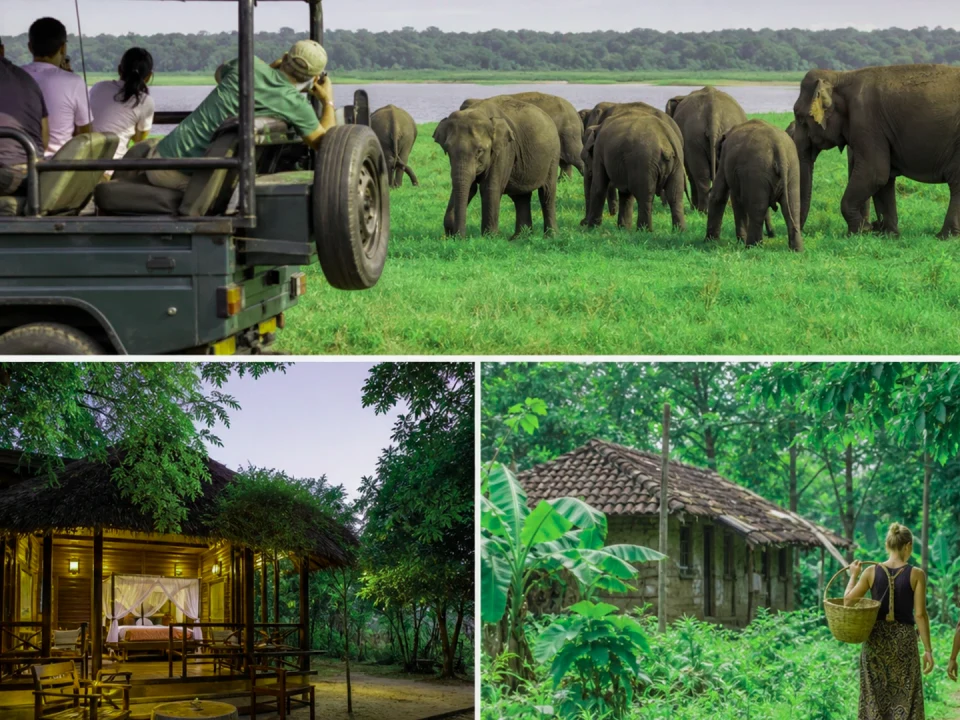 Day Trips to Sigiriya & Polonnaruwa
