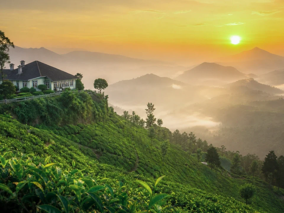 Tea Ridges & Lipton's Seat