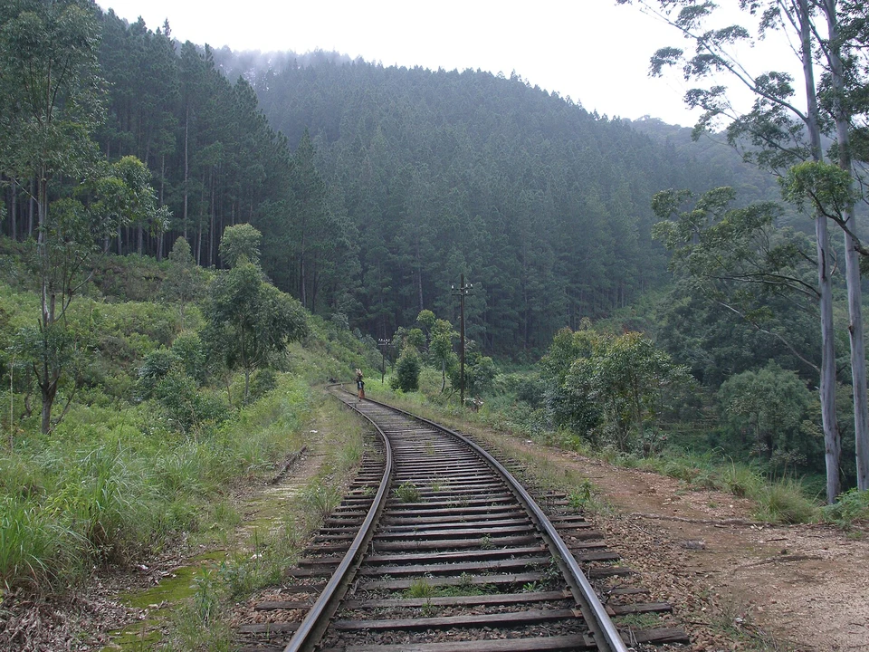 Thangamale & Forest Edge Walks