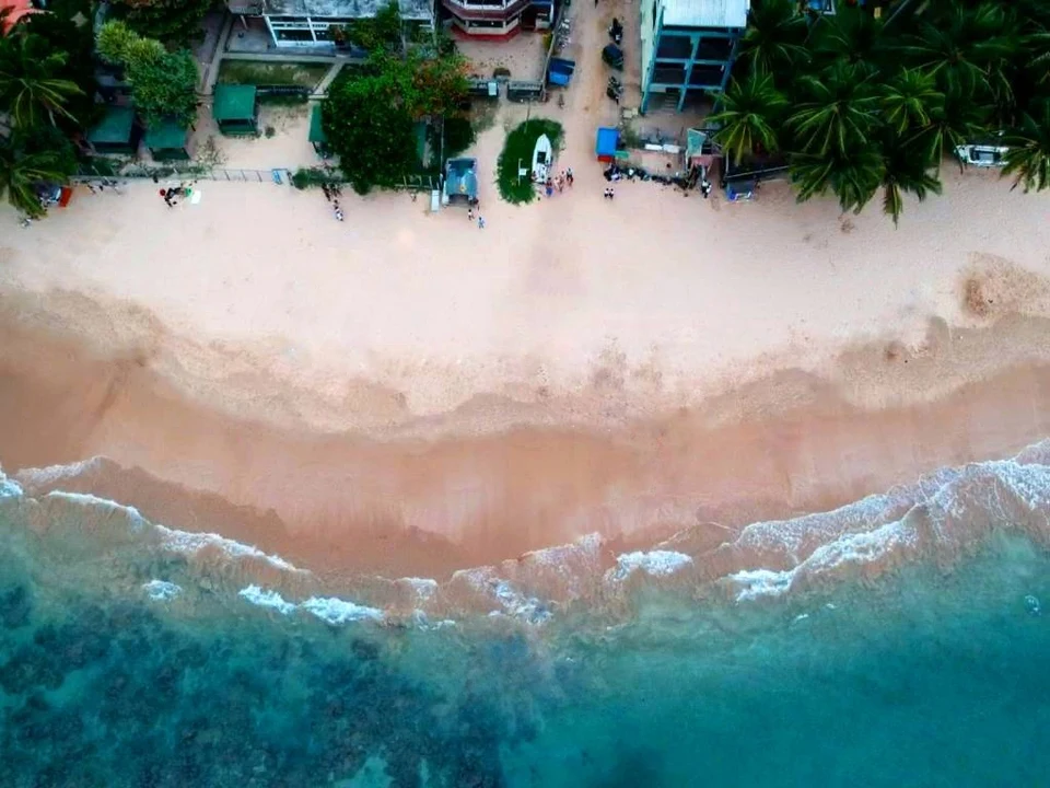 Reef Snorkelling & Diving