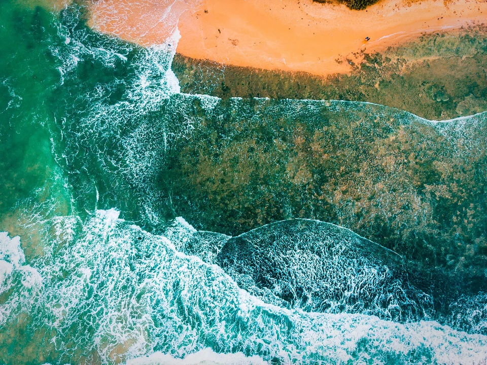 Surf Breaks & Lessons