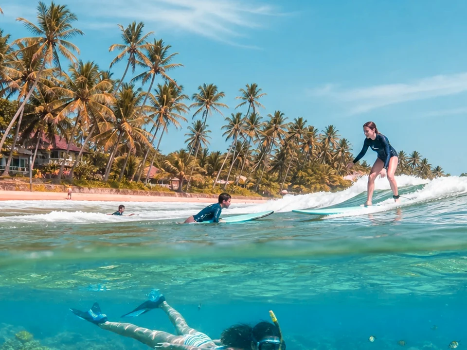 Turtle Watching & Hatcheries