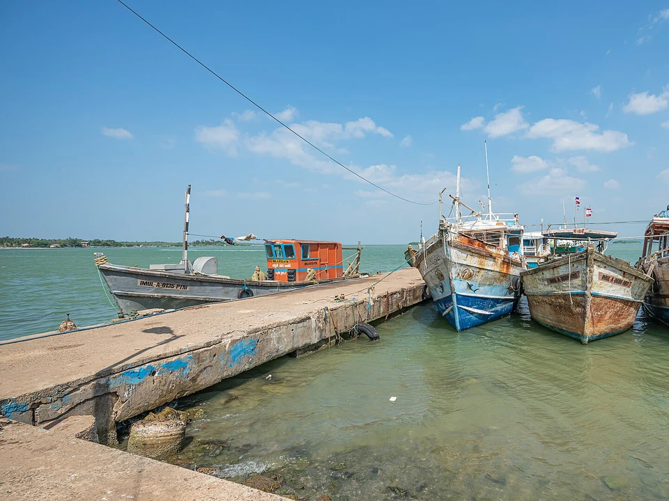 Bar Reef Snorkelling & Diving