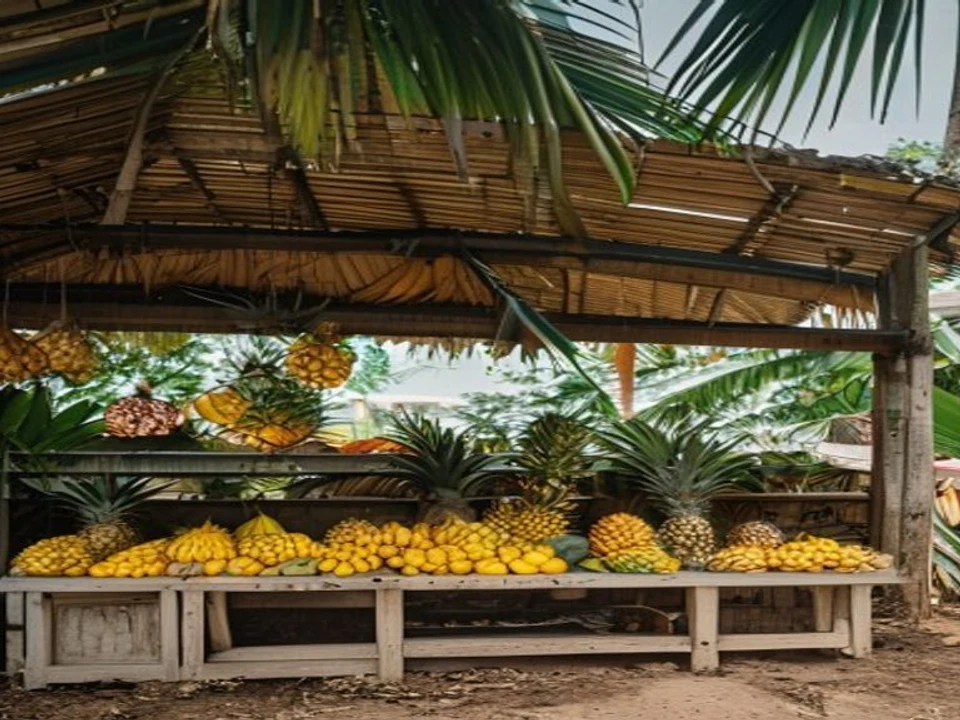Mangosteen & Tropical Orchards