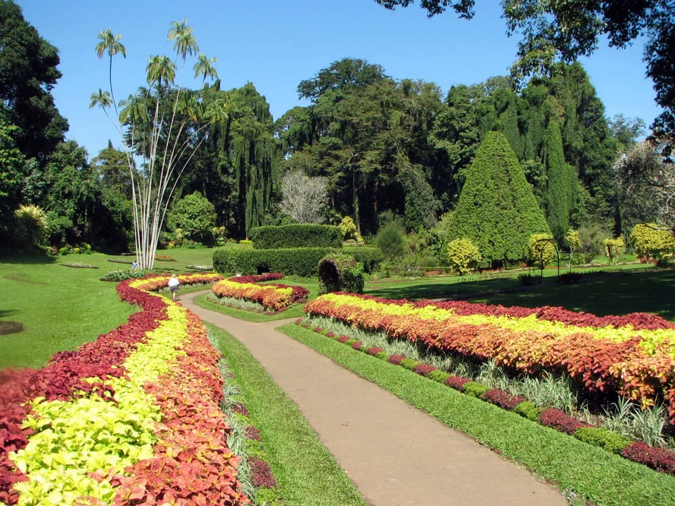 Peradeniya Royal Botanical Gardens