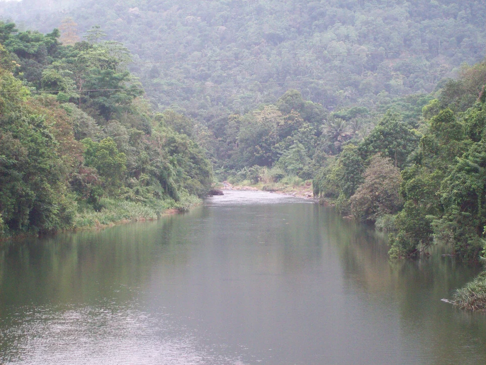 Rainforest Rafting & River Adventure