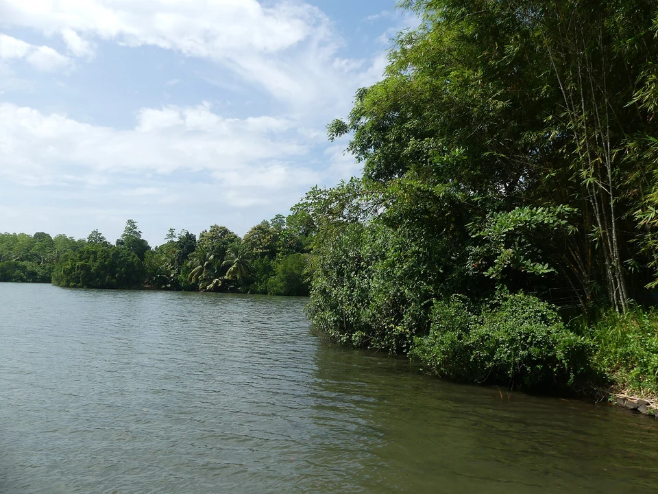 Lagoon, Stilts & Literary Heritage