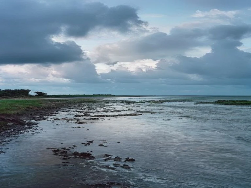 Beach Walks & Estuary Mouths