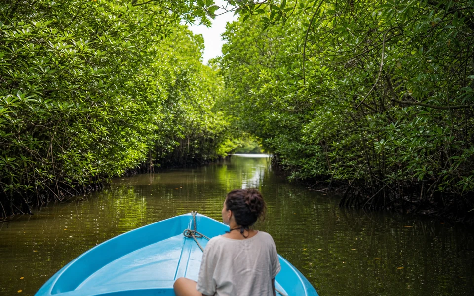 Madu River Boat Safari