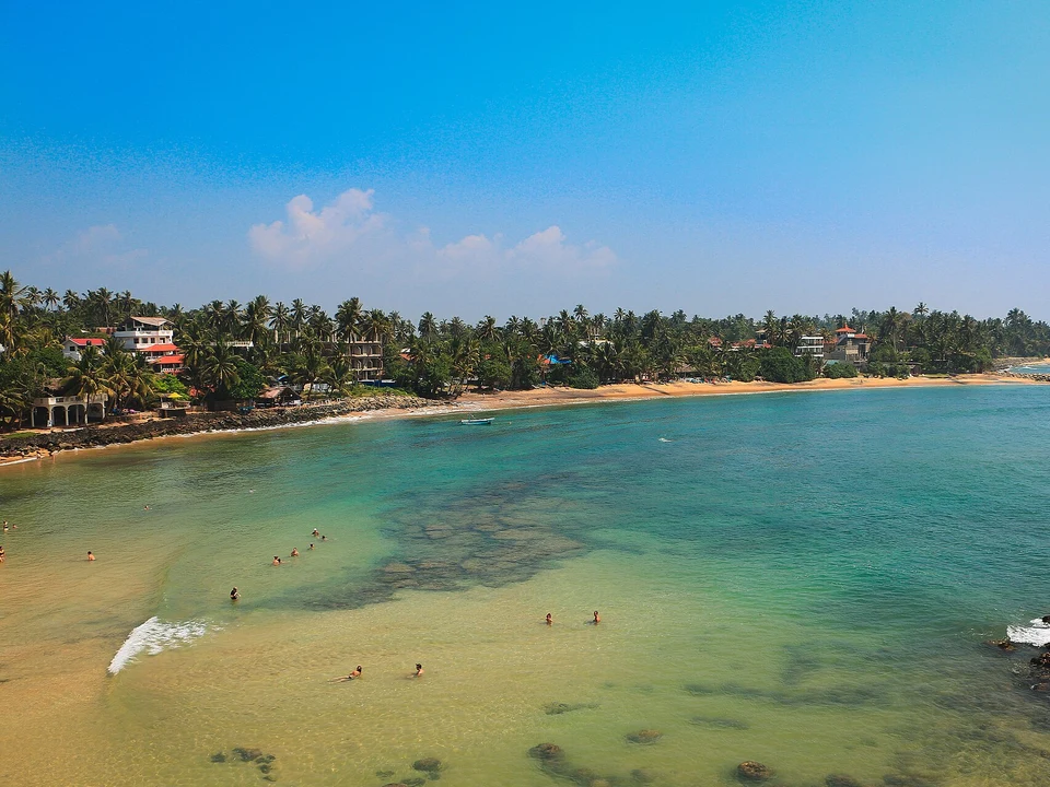 Whales, Beaches & Coconut Hill
