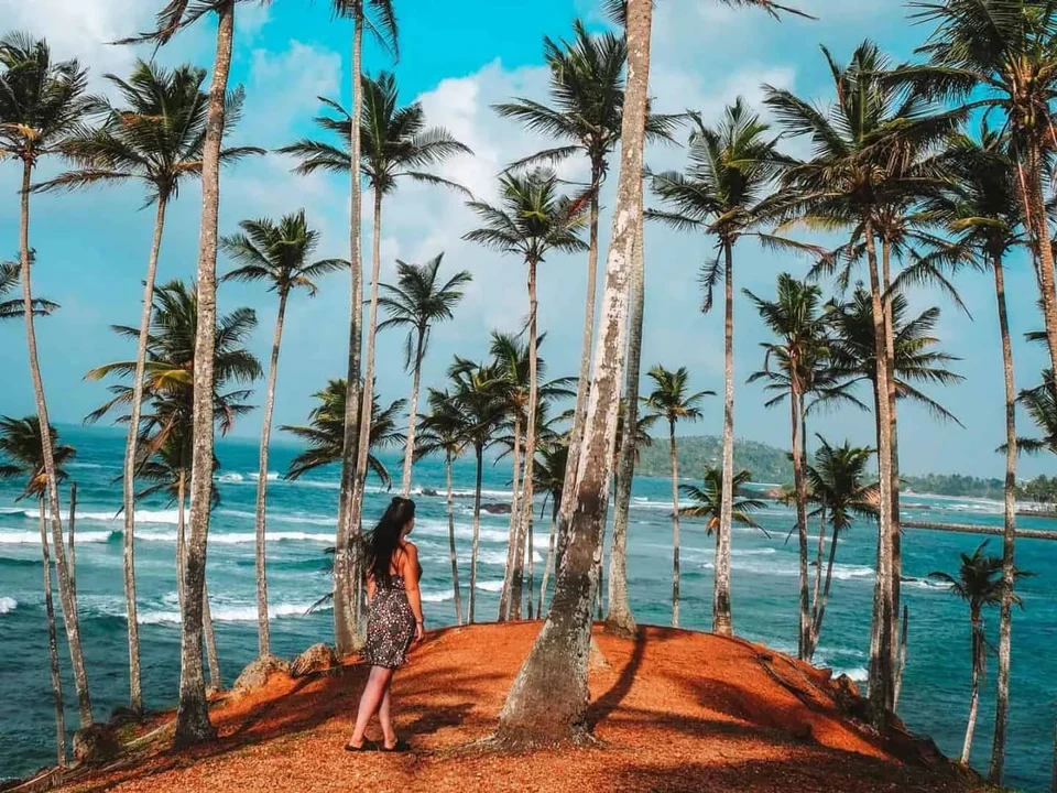 Whales, Beaches & Coconut Hill
