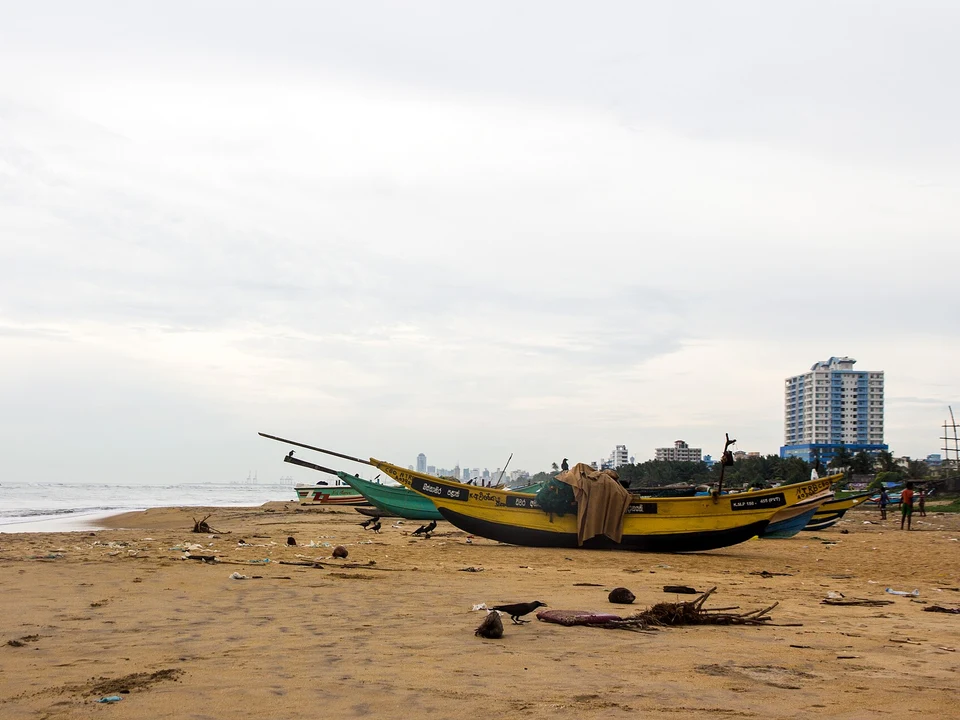 Seafood & Galle Road Eats