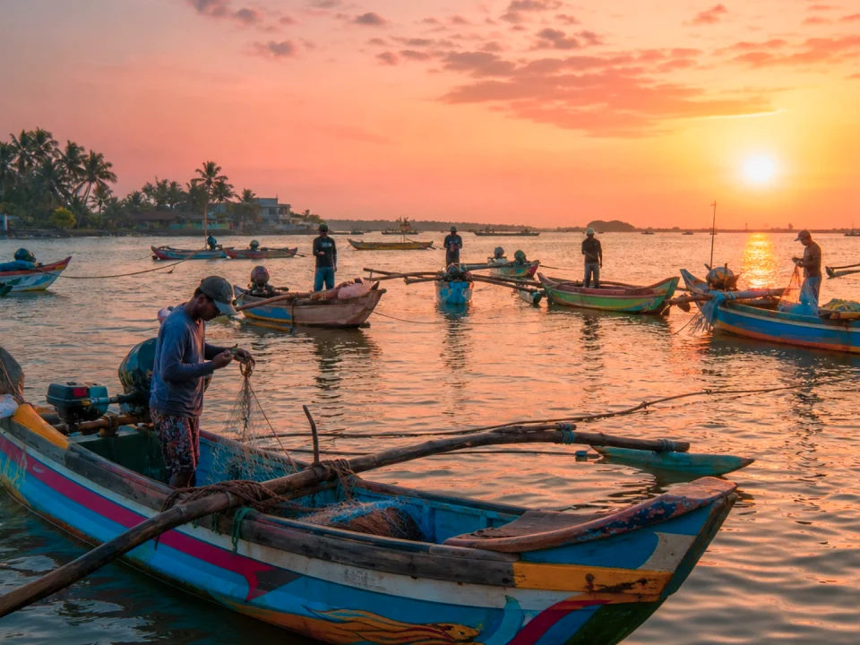 Lagoon Birdlife & Boat Trips