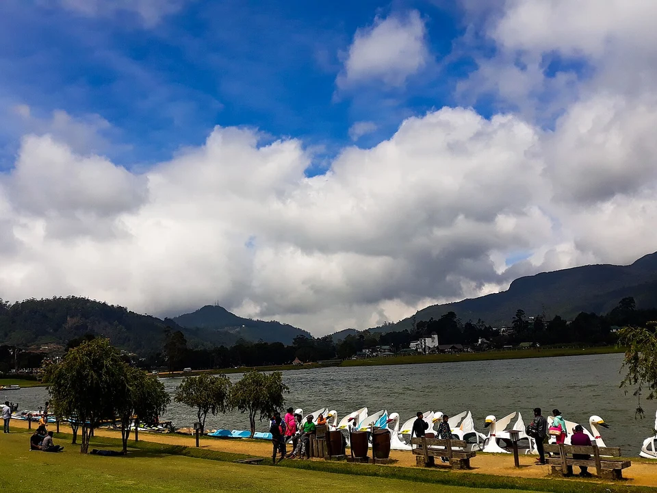 Gregory Lake & Town Strolls