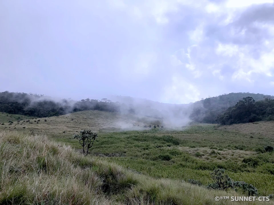 Horton Plains & World's End