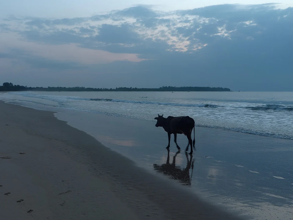 Kalkudah & Quieter Shorelines