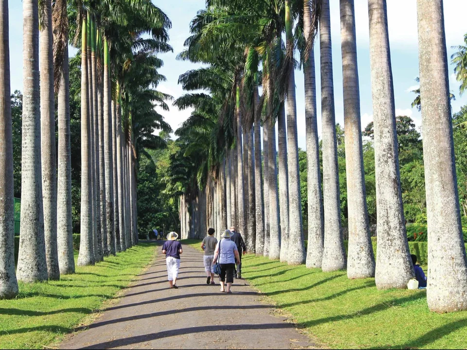 Why travellers seek it out