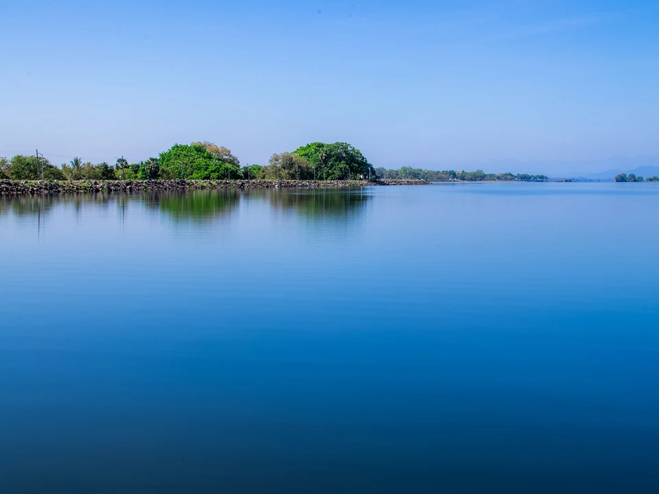 What Makes This Special
