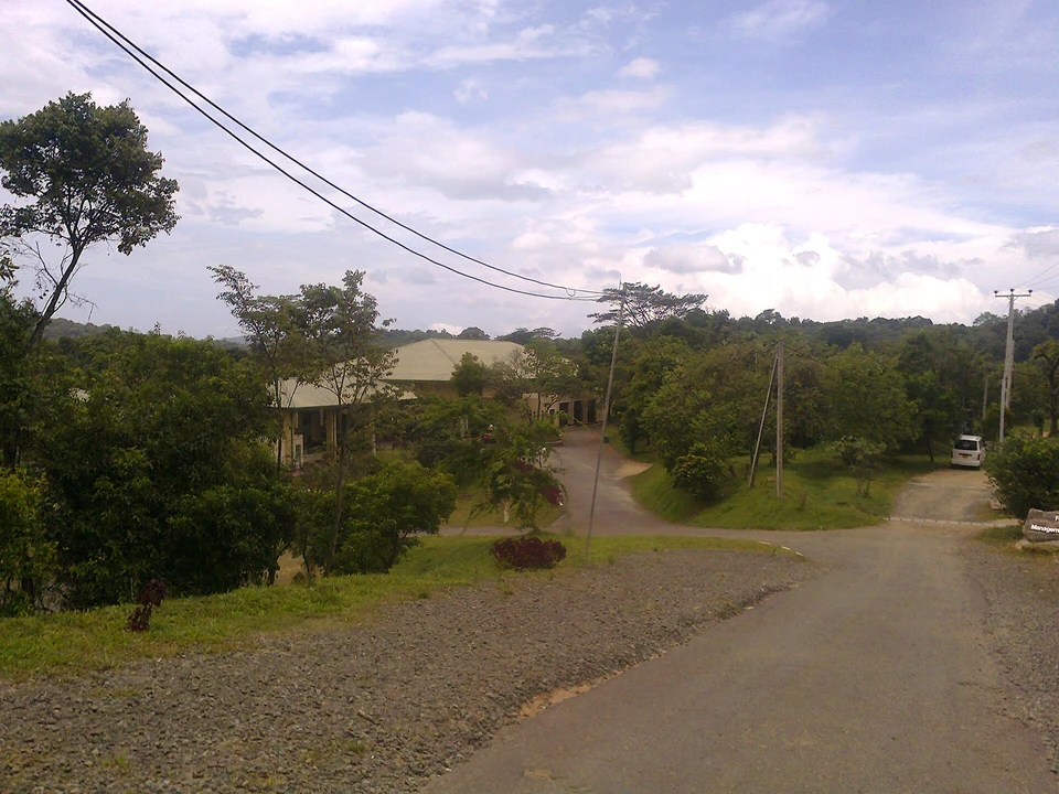 Sinharaja Forest Access