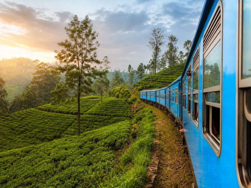Activity Overview