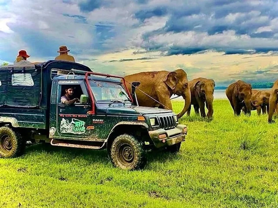 Minneriya & the Great Elephant Gathering