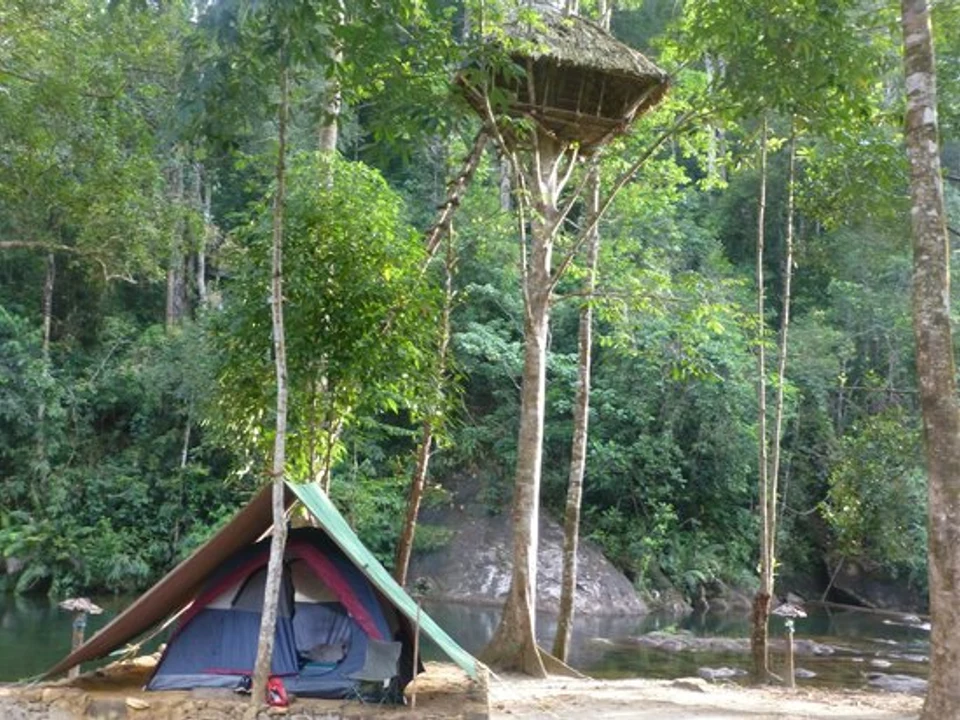 UNESCO Rainforest Reserve