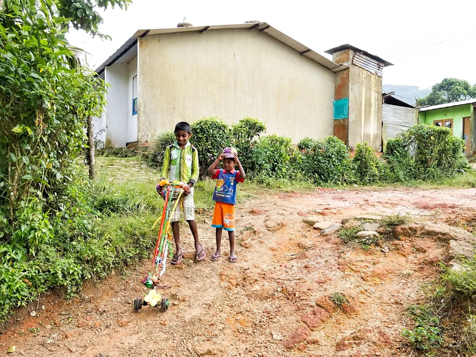 Planning Your Sinharaja Visit