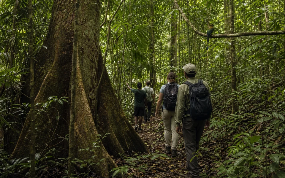 Sinharaja Rainforest Trek