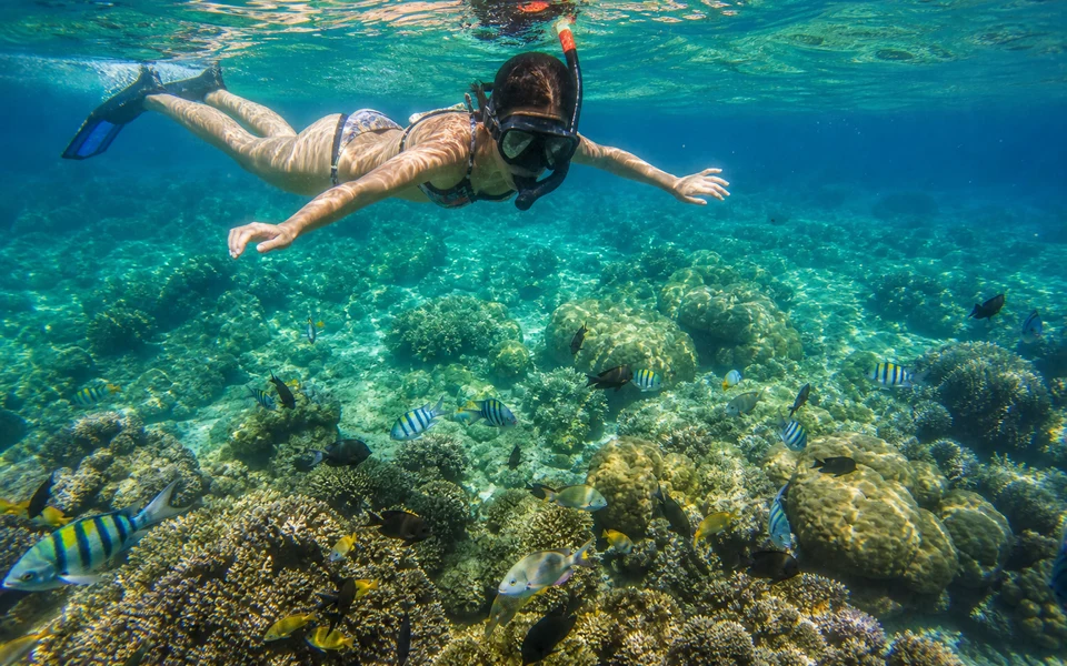 Snorkelling in Hikkaduwa