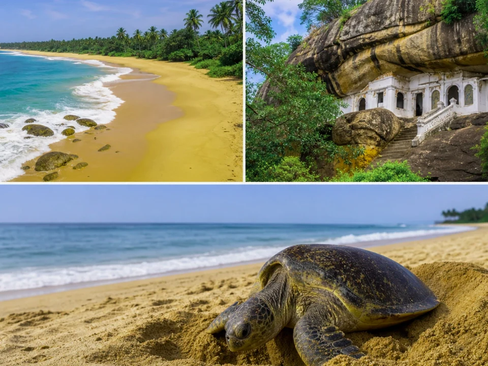 Boutique Lodges & Slow Travel