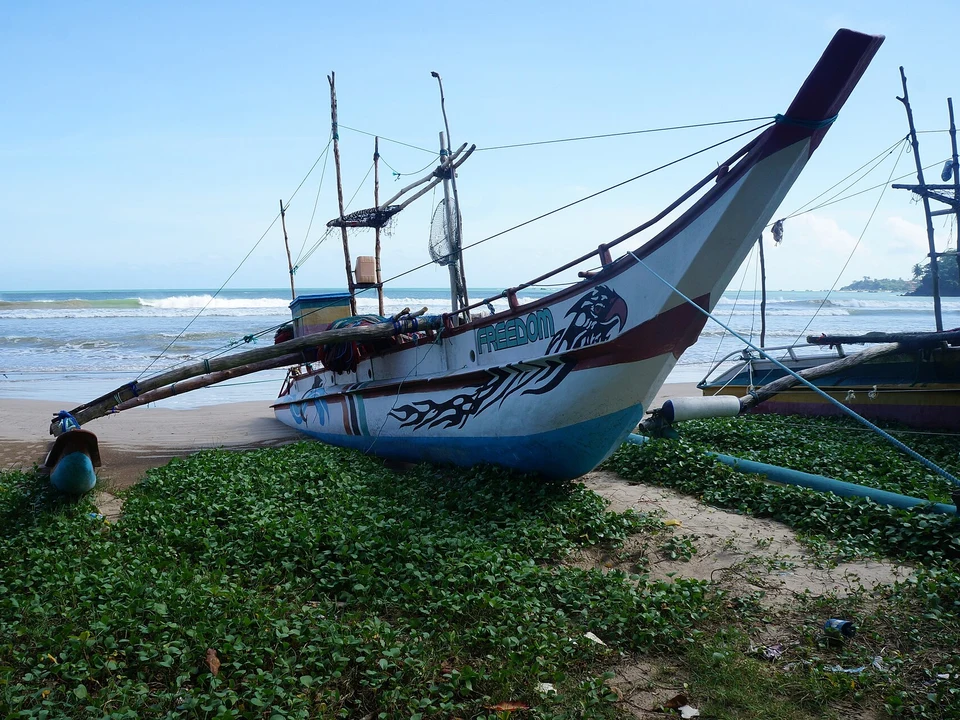 Surf Lessons & Board Hire