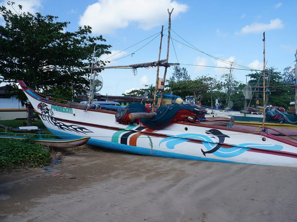 Mirissa & Galle Day Trips