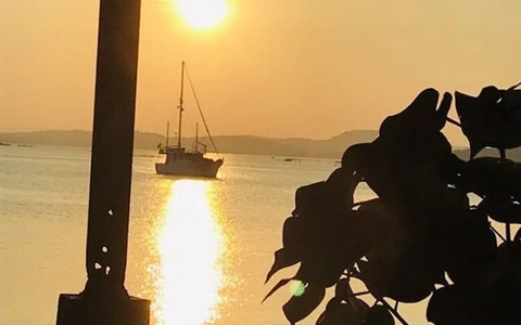 Trincomalee Whale Watching